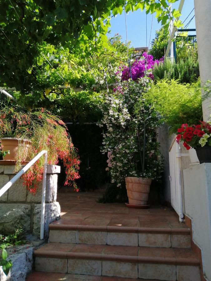 Apartment Jelen